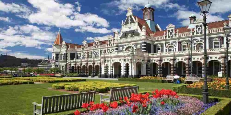 Dunedin Weather