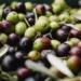 Wellhealthorganic.com11-health-benefits-and-side-effects-of-olives-benefits-of-olives