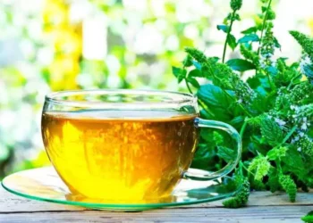 Wellhealthorganic.com5-herbal-teas-you-can-consume-to-get-relief-from-bloating-and-gas