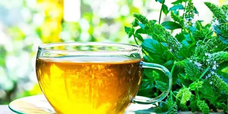 Wellhealthorganic.com5-herbal-teas-you-can-consume-to-get-relief-from-bloating-and-gas