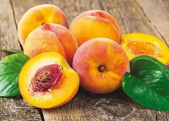 Wellhealthorganic.comweight-loss-in-monsoon-these-5-monsoon-fruits-can-help-you-lose-weight