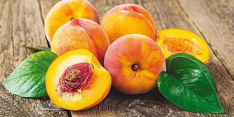 Wellhealthorganic.comweight-loss-in-monsoon-these-5-monsoon-fruits-can-help-you-lose-weight