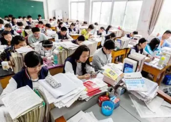 Yimusanfendi: China’s Online Hub for Education and Careers Abroad
