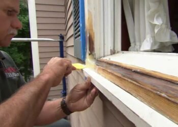 Rotten Wood