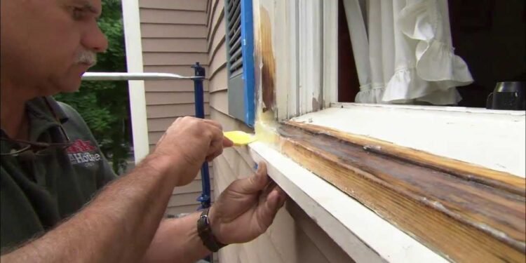 Rotten Wood