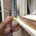 Rotten Wood