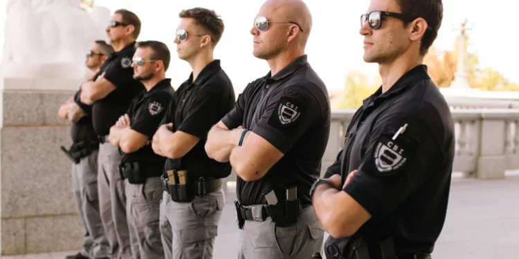 47.849.221 LTDA Novo Triunfo