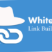 White Hat Link Building Service