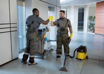 Mold Removal
