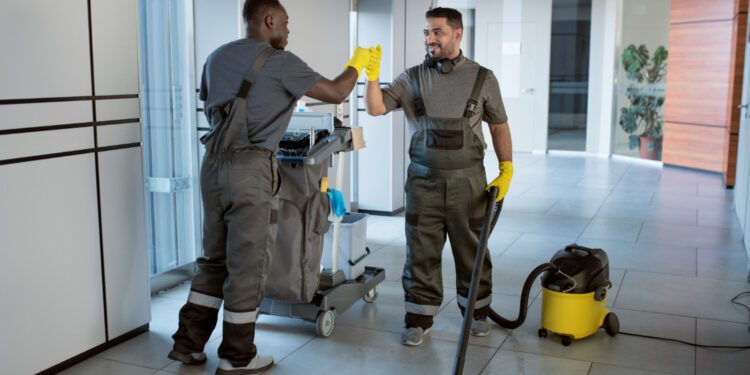 Mold Removal