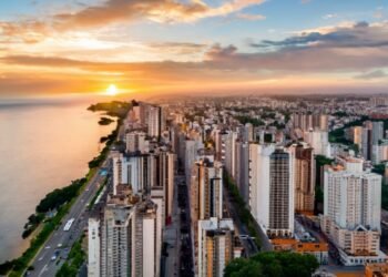 47.579.475 Corina Da Cunha Goiania