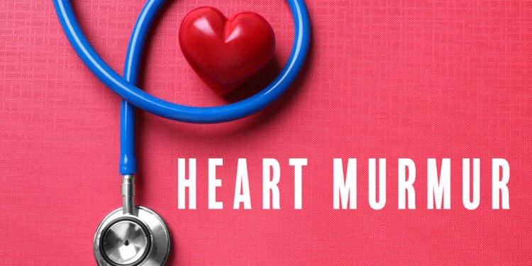 Heart Murmur