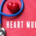 Heart Murmur