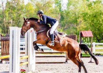 Horse Jumps