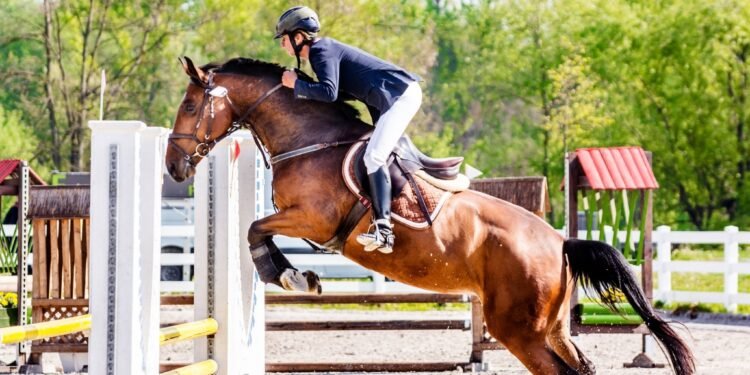 Horse Jumps