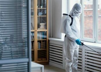 A Fresh Approach to Pest Control Modern Strategies for a Safe and Healthy Home