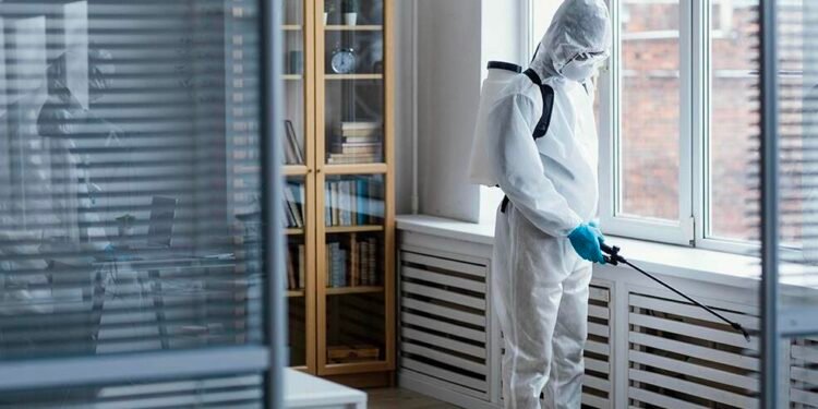 A Fresh Approach to Pest Control Modern Strategies for a Safe and Healthy Home