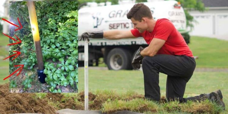 How Often Should You Drain Your Septic Tank The Truth Revealed