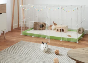 Choosing the Right Rabbit Cage at Bunnings: A Comprehensive Guide