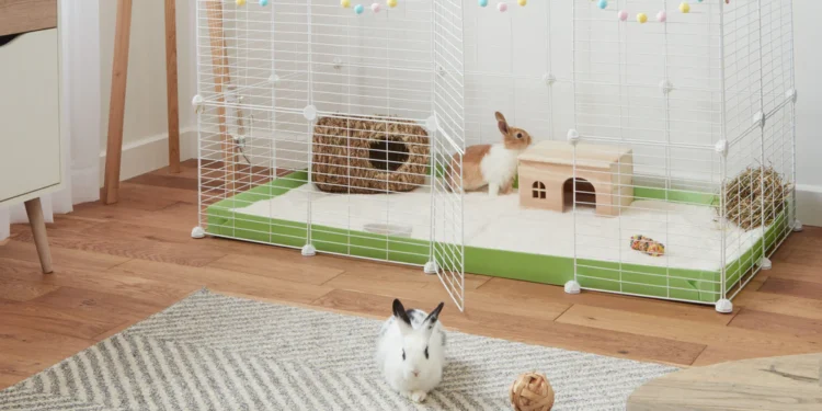 Choosing the Right Rabbit Cage at Bunnings: A Comprehensive Guide