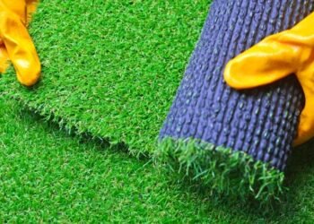 Choosing a Turf Supplier What to Look For and How to Make the Right Decision
