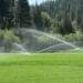 Ewing Irrigation